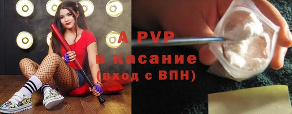 молекула духа Болохово