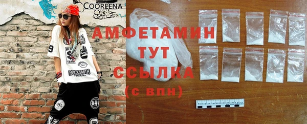 молекула духа Болохово