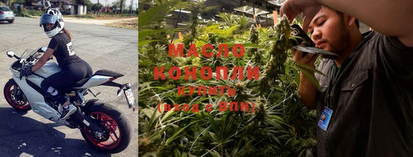 молекула духа Болохово