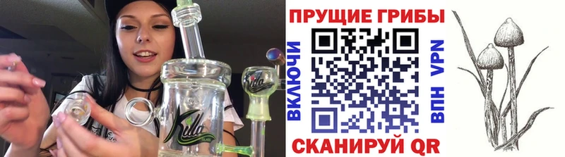 купить закладку  Зеленоградск  mega ссылки  Галлюциногенные грибы Cubensis 